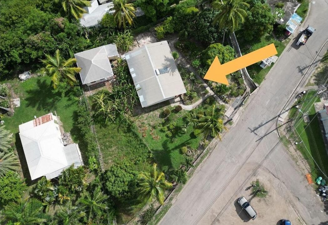 WhatsApp Image 2025-12-23 at 16.30.51